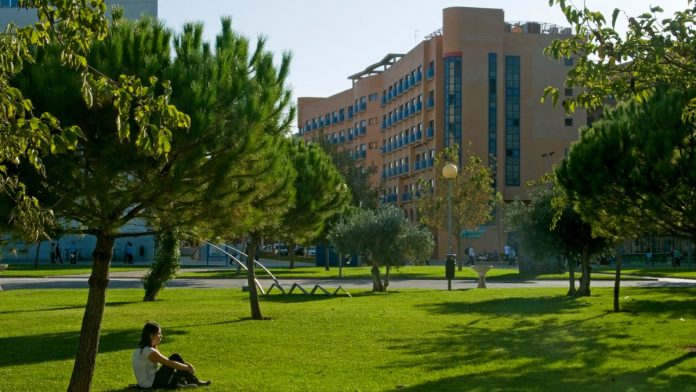 Detectan un brote de sarna en una residencia universitaria de Valencia