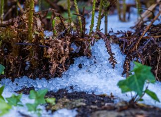 granizo fruta 