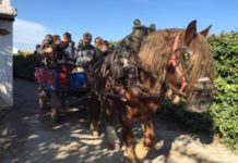 Passejos amb carro, ciclorutes, mercats de productors…aquest cap de setmana en l´Horta