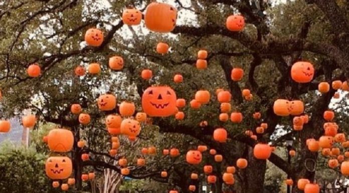 Els millors plans per a celebrar Halloween a València