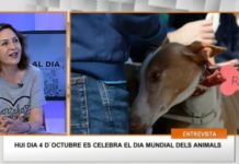 Elena Negueroles: «Comprar un animal es contribuir al comercio de seres vivos» animal