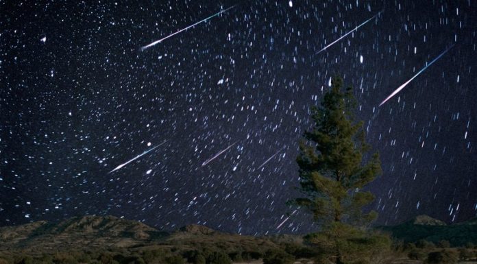 Se acercan las Leónidas: dónde ver la lluvia de estrellas en Valencia Llegan las Leónidas, la lluvia de estrellas que iluminará las noches de noviembre
