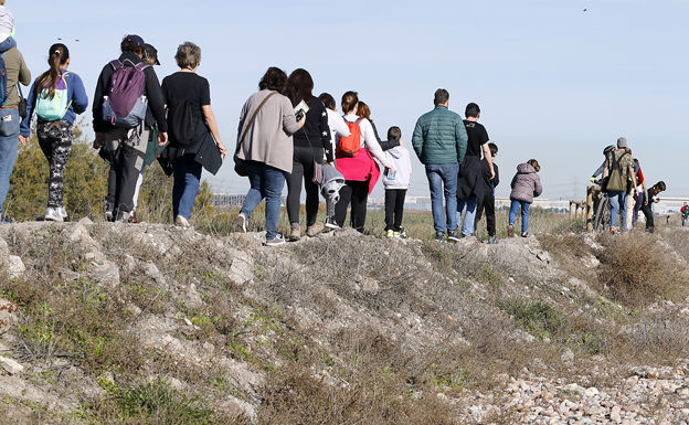 Descobreix la Marjal dels Moros i la platja de Puçol en una visita guiada gratuïta