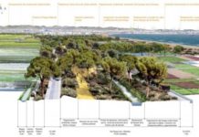 Proyecto de transformación de la autovía de El Saler en un bulevar verde con un carril de circulación.