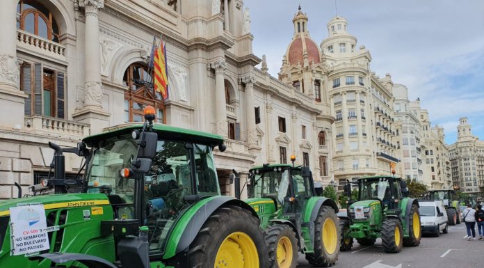 València ix al carrer contra la reconversió de l’autovia de El Saler Saler