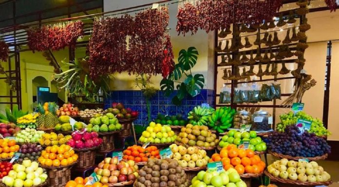 Veritats i mites dels aliments ecològics: Són tan saludables com es diu? ecológicos