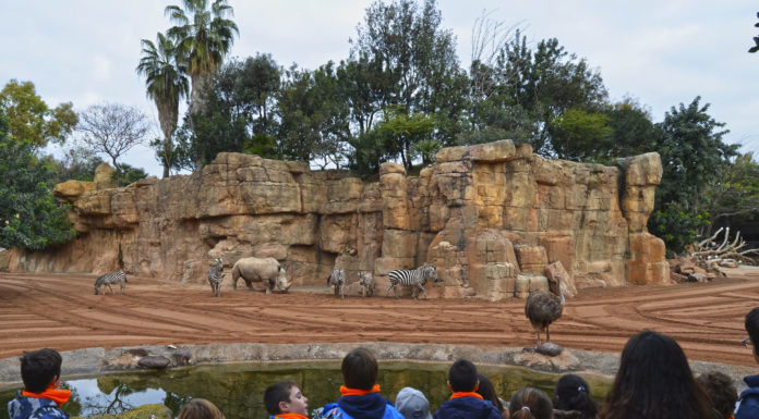 Vols que els teus fills passen el nadal a Àfrica?