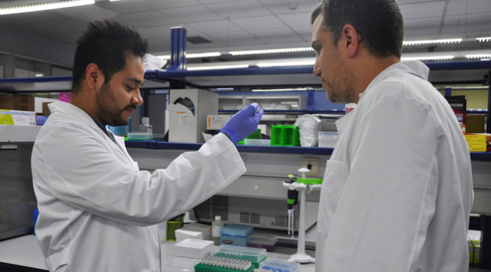 Investigadores valencianos consiguen un gran descubrimiento sobre la tuberculosis La vitamina D es importante para frenar el coronavirus.