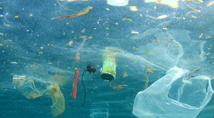 La guerra contra los plásticos ¿son los responsables de la contaminación? prohíben los plásticos