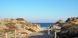 regenerar el medio ambiente