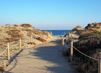 regenerar el medio ambiente