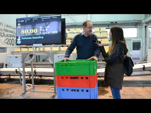 La Graella a la Llotja del peix de València