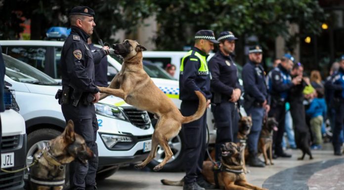 La Unitat Canina de la Policia Local de València infal·lible en la detecció de drogues Canina