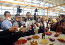 Los mejores planes para este fin de semana en Valencia Requena