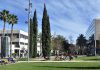 Aquestes són les cinc carreres universitàries amb més eixides laborals La UV y la UPV impartirán clases online durante un mes por la DANA