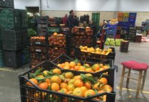 Las mandarinas protagonistas en la Cabalgata de Reyes de València Mercavalència repartirá mandarinas en la Cabalgata de Reyes de València