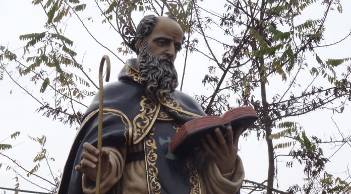 ¿Por que San Antonio es el patrón de los animales?