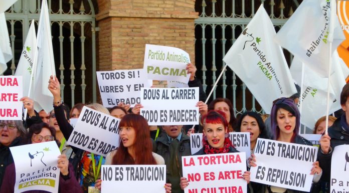 Els antitaurins prendran el centre de València amb una concentració
