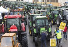 Centenares de tractores tomarán las calles de Valencia en defensa del sector arrocero