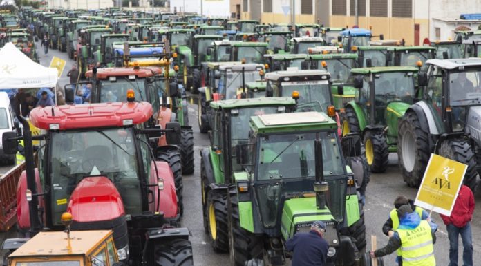 Centenars de tractors prendran els carrers de València pel futur del camp Valencia