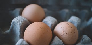 Alerta por un macrobrote de salmonela provocado por huevos españoles