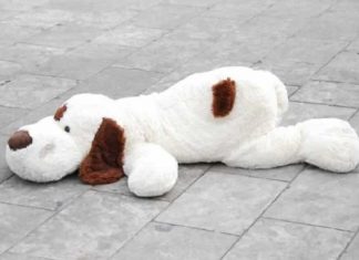 perro peluche