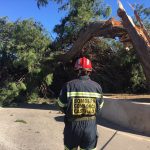 Bombero del Consorcio Provincial de Castellón trabajando en la retirada de árboles rotos por el viento