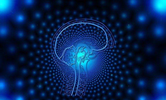 Gemelos digitales: ¿Podrían haber prevenido la tragedia de la DANA en Valencia? Gemelos digitales: la herramienta tecnológica para prevenir y gestionar catástrofes