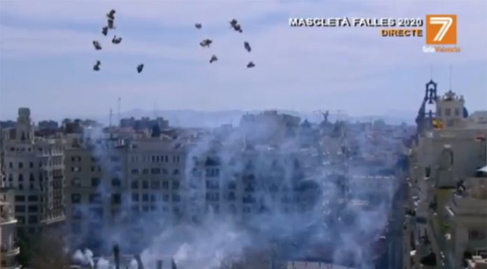 mascletà color morado y negro