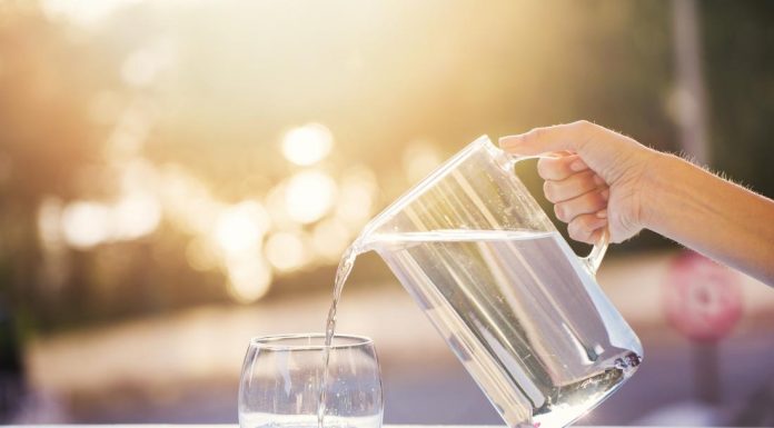 Los mosquitos tigre se multiplican si tenemos acúmulos de agua en recipientes