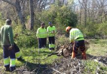 La Generalitat busca a 1.300 personas para trabajar en los bosques valencianos
