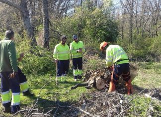 La Generalitat busca a 1.300 personas para trabajar en los bosques valencianos