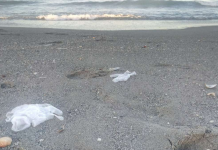 Seis playas valencianas obtienen la bandera negra por su contaminación