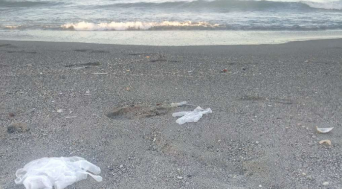 Seis playas valencianas obtienen la bandera negra por su contaminación Seis playas valencianas obtienen la bandera negra por su contaminación