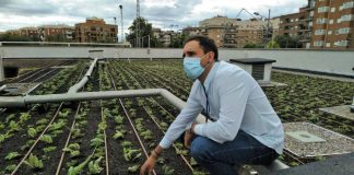 jardín en una azotea