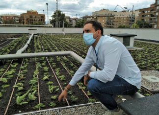 jardín en una azotea