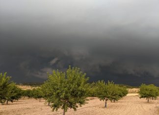 La provincia de Valencia vive la peor tormenta de pedrisco de los últimos 30 años