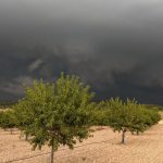 La provincia de Valencia vive la peor tormenta de pedrisco de los últimos 30 años