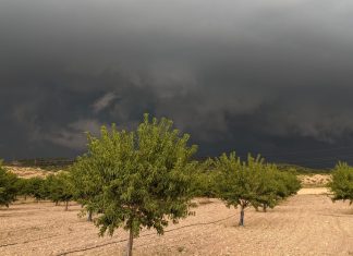 La provincia de Valencia vive la peor tormenta de pedrisco de los últimos 30 años