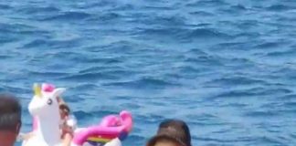 flotador de unicornio