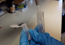 Investigadores valencianos crean un prototipo de test alternativo al PCR más rápido y barato