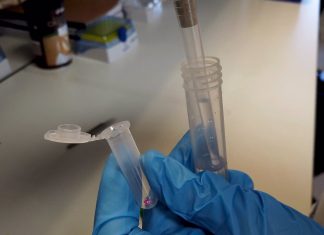 Investigadores valencianos crean un prototipo de test alternativo al PCR más rápido y barato