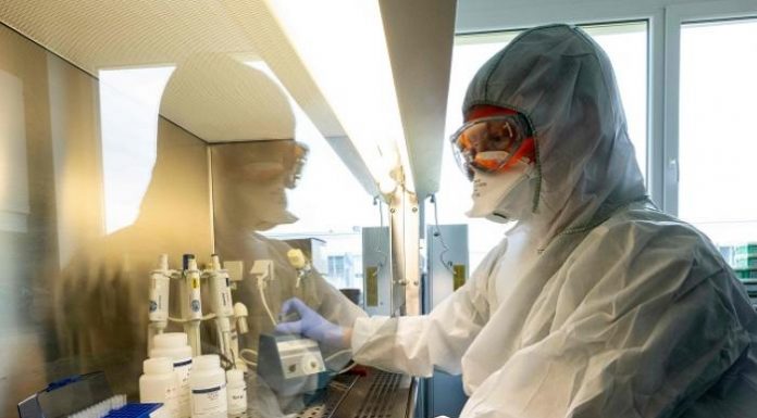 L’OMS adverteix que la vacuna anticovid podria tardar dos anys a arribar a tota la població España ultima la vacuna contra el coronavirus: así son los voluntarios que la probarán primero