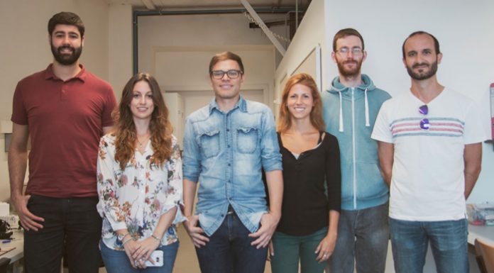 Crean neuronas que se pueden integrar en tejido cerebral humano investigadores neuronas