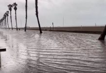 DANA Paola, Adam, Walter o Nathalie: los nombres de las borrascas y DANAs de gran impacto de la temporada 2026-2027 El Paseo Marítimo de La Patacona se convierte en un río gigante
