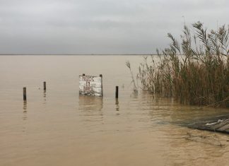 albufera