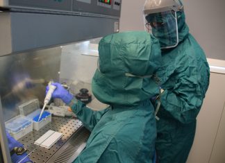 test muestras de saliva