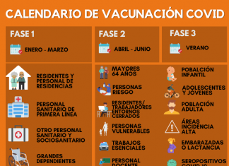 Illa confirma que las vacunas contra el coronavirus llegarán en "menos de un mes"