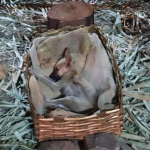 cachorro durmiendo en la cuna de un Belén