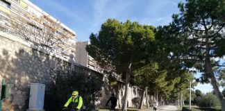 Alerta de heledas de frío en la Comunidad